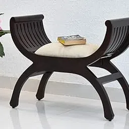 Samdecors Solid Sheesham Wood (Rosewood) Multipurpose Single Seater Upholstered Sofa Senate Settee (Lacquer Finish, Walnut) image 1