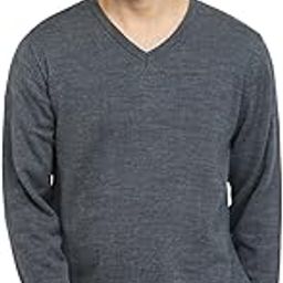 park avenue Men Regular Fit Solid Pattern Acro Wool Blend Full Sleeve V Neck Sweater-picture-22