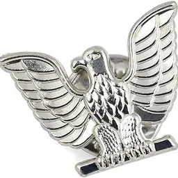 Fearless Faleon Silver Brooch for Men-image-19