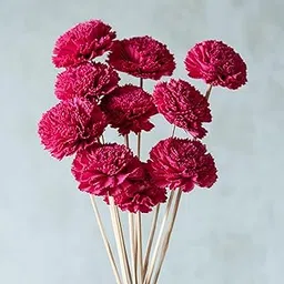 Flowers and Fillers || Hot Pink Carnation Sola Flower Sticks (10 sticks) | Natural Dried Flower |Eco-Friendly Flowers for Home,Office,Bedroom,Table Decoration and Craft Items Corner (Without Vase Pot)-picture-47