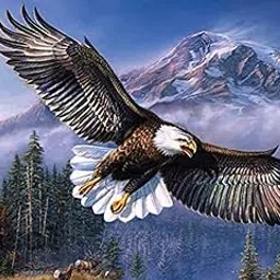 Diamond Painting Kit, 40x30 Cms, Full Drill, 5D Crystals, Home Wall Decor Gift Set (Eagle J40018) image 1