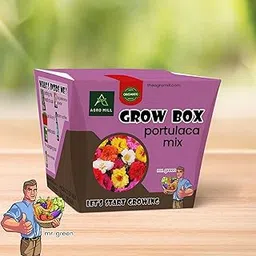 AGRO MILL ORGANIC PORTULACA MIX FLOWER GROW BOX/KIT | INCLUDES LARGE POT,POTTING MIX,SEEDS,SCRAPER TOOL,ROOT-O-SHOOT,PLANT NUTRIFIER,BUG DETERRENCE POWDER,PERFECT FOR HOME KITCHEN GARDEN & GIFTS-picture-20