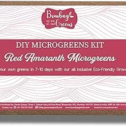 Bombay Greens DIY Microgreens Eco-Friendly Kit with Fabric Grow Bag - Red Amaranth seeds-image-11
