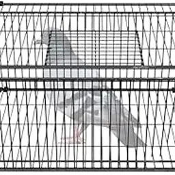 HASTHIP® Pigeon Cage Metal Wire 60x40x26cm, DIY Assembly, Ventilated Spacious Bird Housing with Top Open & Side Door-picture-14