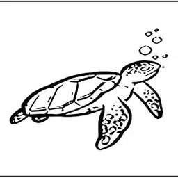 Simply Inked New Sea Turtle Tattoo - Semi Permanent, Designer Semi-Permanent Tattoo for Girls Boys Men Women waterproof Sticker Size: 2 x 2 inch l Blue Black l 2g-picture-35