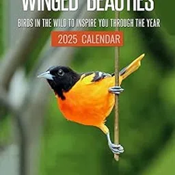 Tallenge - Winged Beauties - 2025 Wall Calendar - 12 x 17 Inches for Home & Office (Paper, Wall Calendar)-image-64