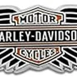 Harley-Davidson 4.4 cm 8008895 Winged Bar & Shield Logo Pin Shiny Silver 4 cm-image-31