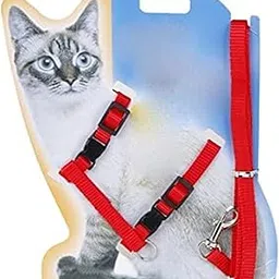 Foodie Puppies Adjustable Body Nylon Harness and Leash Set for Cats - (Cat Harness) (Color May Vary) | Suitable for Puppies, Cats and Kittens (10mm)-picture-24