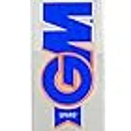 GM Sparq Bullet English Willow Short Handle Cricket Bat-image-97