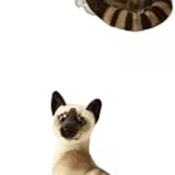Bnf® 2pcs Simulation Cats Animal Plush Padding Stuffed Toys Birthday Gifts Baby | Toys for Baby | Plush Baby Toys-image-5