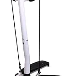 BLURISM Twist Stepper Machine with Resistance Bands, LCD Monitor, Tone Your Buttocks, Legs, Thighs, Waist, and More - Compact and Portable-image-30