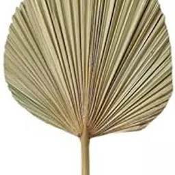 Bnf® 3xDried Palm Leaf Dried Flower Bouquet for Arch Arrangement Wedding Home Decor 50x23CM | Home & Garden | Home D?©Cor | Floral D?©Cor-picture-25