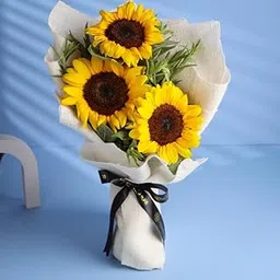 FlowerAura Premium Fresh Live Flower Bouquet of 3 Sunflowers For Birthday Gift, Anniversary Gift, Wedding Gift, Mother's Day Gift, Love & Romance Gift, Father's Day Gift (Same Day Delivery)-image-42