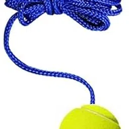 Aerolooks 3.5 mtr Practice Ball Heavy for Indoor/Outdoor Knocking Cricket Training Ball, Hanging Ball(Standard, Pack of 1, Green)-image-51