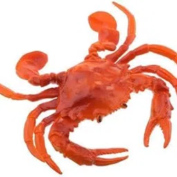 6Xfake Model Dispaly Artificial Marine Animals Decoration Red Crab - B | Home & Garden | Yard, Garden & Outdoor Living | Garden D?©Cor | Statues & Lawn Ornaments-picture-22