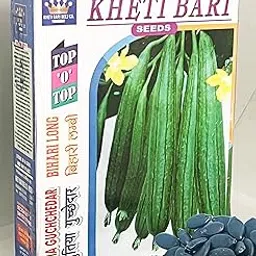 Desi Sarputiya Seeds, Satputiya Seed, Sarputita beej, Satputia Gourd Seed (50 Seeds),Small Ridge Gourd Seed, ???????? ???, ???-picture-16