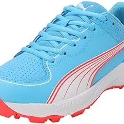 Puma Unisex-Adult 24 Fh Rubber Cricket Shoe-image-44