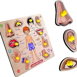 PopPlop Activities Body Parts Chart Board Game Learning Puzzle Wooden Toys With Knobs, For Kid-picture-14