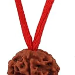 ASTRODIDI Original 5 Mukhi Rudraksha Bead with Red Thread for Daily Wearing | Natural Nepali Five Face Rudraksh Bead | Unisex Design for Men Women Boys and Girls-image-88