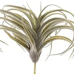 CLUB BOLLYWOOD® Home Garden Decoration Leaves Seaweed Artificial Grass G Air Grass|Home & Garden | Home D?©cor | Floral D?©cor| Floral D?©cor|1 Bunch of Artificial Flower Grass-picture-14