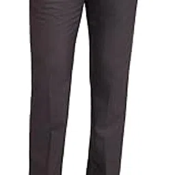 park avenue Men's Regular Fit Mid Rise Solid Pattern Poly Viscose Blend Flat Front Formal Trouser-picture-28