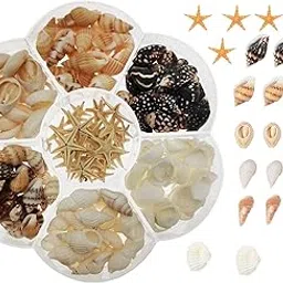 yaokan 1 Box Mini Small Seashell Natural Sea Shells Clam Starfish for Resin Jewelry Making DIY Craft Home Decor Vase Fillers Candle Making-image-20