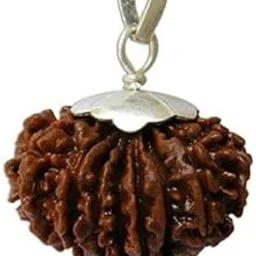 FOREVER Gems Satrah Mukhi Rudraksha Holy Bead 17 मुखी रुद्राक्ष Auspicious 17 Mukhi Rudraksha Original Lab Certified AAA+++ Quality 17 Face Rudraksha Seventeen Mukhi Rudraksha-picture-35