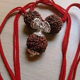 Beauty Gems Handmade Pure 8 10 11 Mukhi Rudraksha Kavach For Men & Women रुद्राक्ष कवच पेंडंट AA++ Eight Mukhi Ten Mukhi Eleven Mukhi Rudraksha Pendant Rudraksha Kawach 8 Face 10 Face 11 Face Rudraksh-image-60