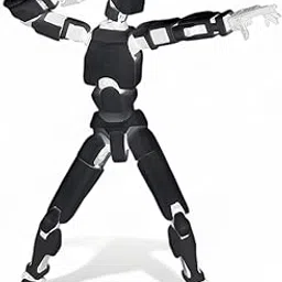 Dummy 13 Action Figure Robot | Build Robot Toy | 3D Printed (5.5inches) (Black Armour)-picture-19