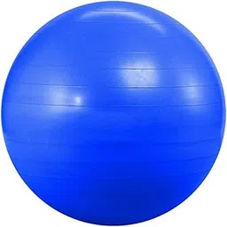 YOGPRO Anti-Burst Exercise Gym Ball with Pump, Anti-Slip Balance Stability, Heavy Duty Fitness Yoga Ball, Extra Thick Swiss Birthing, Exercise Equipment for Home, Exercise Ball (55 CM)-image-56