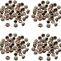 Enakshi® 400Pcs Natural Acorns Caps Home DIY Christmas Natural Acorn Caps|Crafts | Home Arts & Crafts | Floral Crafts | Other Floral Craft Supplies-image-69