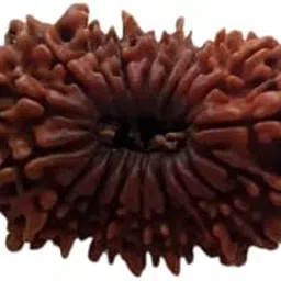 astro cart 18 Face Rudraksha Nepali Original Bead अट्ठारह मुखी नेपाली रुद्राक्ष Eighteen Face Rudraksha IGL Certified Pure Attharah Mukhi Rudraksha Pendant For Men-picture-45