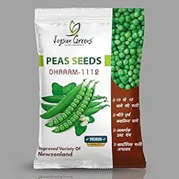 Peas Imported Quality Vegetable Seeds for Home gardening, Terrace gardening and Kitchen Indoor Outdoor Gardening Planting Farming (1 kg seeds)-image-13