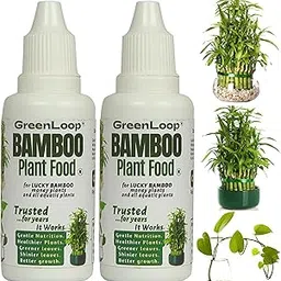 GreenLoop - Bamboo Plant Food (& for Money Plants) - Liquid Food for Aquatic Plants (in Water), Two Bottles, Each 30 ml.-image-85