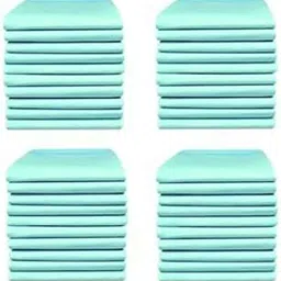 Wellstar Disposable Underpad Pack Of 40 Pcs Adult Diapers - L (40 Pieces)-picture-17