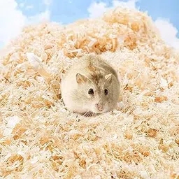 The Pets Company Dust Less Pine Wood Shavings, Bedding for Hamster, Bird, Chinchillas, Guinea Pig, Mice, Rabbit, Reptiles & Small Animals| Cozy Nesting Material for Birds - 250 GMS-picture-10