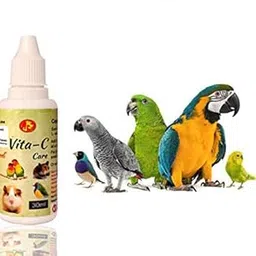 Pet Care International (PCI) Vita-C to Provide Essential Vitamin C for Healthy Bird Healthcare (Pack of 2) (30ml)-picture-34