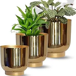 ecofynd 3 Pack Eva Metal Plant Pots (8 inch, 9 inch, 10 inch) | Indoor Planter Flower Pots with Drainage Hole | Home Garden Decor Planter for Living Room Bedroom Interior (Gold Finish)-picture-17
