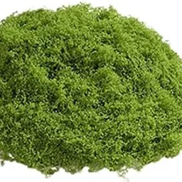 FABLOFT False Moss Ornaments Simulated Green Plants for Terrariums Garden Plant Pots L Dark Green-picture-10