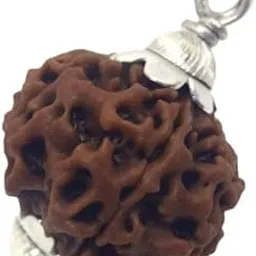 Cuonna Gems Gallery Premium Sat Mukhi 7 Faced Rudraksha for Blessed by Goddess Mahalakshmi सात मुखी रुद्राक्ष Pure Nepal Ka Seven Mukhi Big Size Rudraksha Loose Beads Ruthratcham 7 मुखी रुद्राक्ष-picture-10