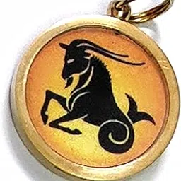 astroghar Makar Rashi Capricorn Rashi Zodiac Yantra Mantra Brass Lucky Charm pendant image 1