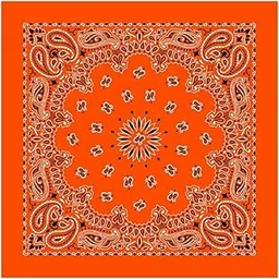 Paisley Print Scarf, Hijab, Headband, Headcover, Soft Breathable 100% Cotton Bandana For Men & Women (Pack of 1)-image-66