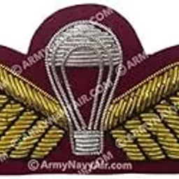 Military Parachute Wing Patch, Maroon Velvet with Gold Wings, Hook and Loop Backing, Hand Crafted 3D Design - ArmyNavyAir.com-picture-43