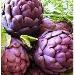 Afco Romagna Artichoke Rare Seed, Purple -10 seeds-picture-19