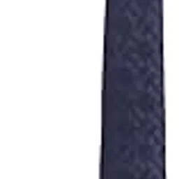 van heusen Men Navy Embroidered Formal Tie-picture-42