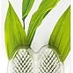 Radius Toothbrushes Replacement Head Pack Super Soft, 2 Ct-picture-27