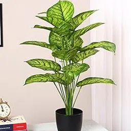 Artificial Miniature PVC Silk Photosh Floor Plant with Big Leaves with Pot (Multicolour91)-picture-12