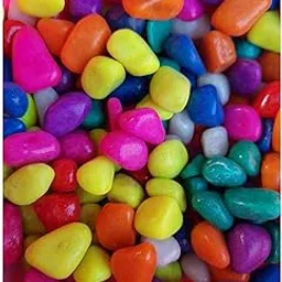1st Time Décor Pebbles/Stone for Home Decoration, Pots, Garden, Showcase, Plant Vase, Multicolor, WT. 450 gm- S73-image-80