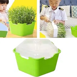 ATORSE Germination Tray W/Lid Plant Observation for Greenhouse Beans Perilla Green-image-39