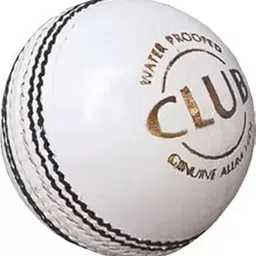 SK White Leather Cricket Ball, Regulation Size-picture-44